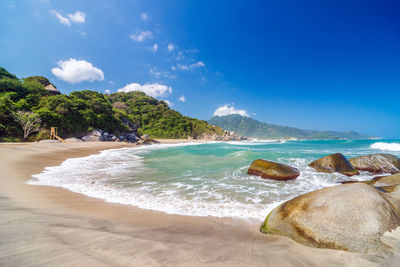 Scenic view of beach at tayrona national park against blue sky