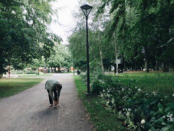 Dog walking on footpath