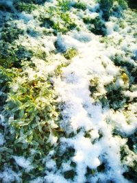 Full frame shot of water