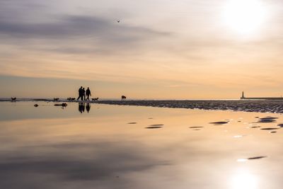 Silhouette people and dogs at beach against sky during sunset