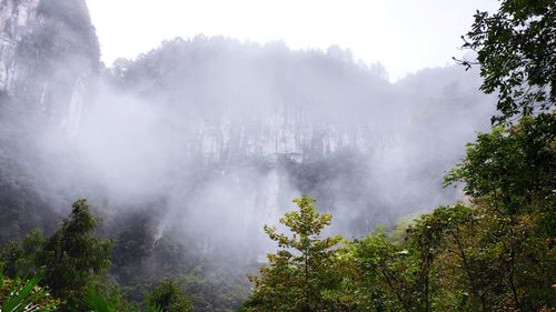 Scenic view of waterfall in forest against sky