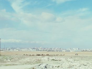 Scenic view of landscape against sky