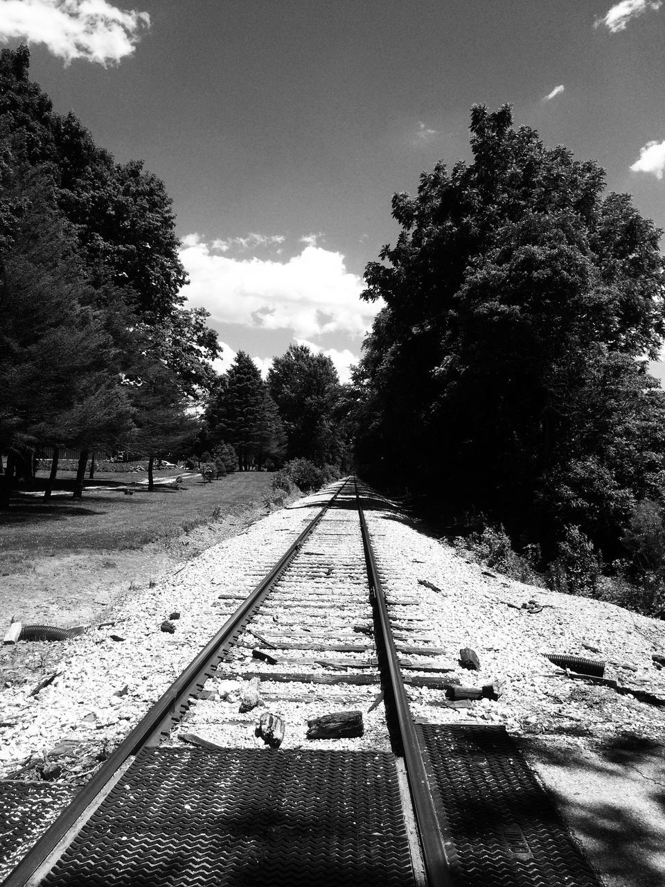 railroad track, tree, rail transportation, transportation, day, no people, railway track, the way forward, sky, sunlight, nature, outdoors, beauty in nature