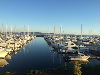 Sailboats moored in harbor against clear blue sky