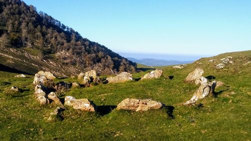 Scenic view of landscape against clear sky