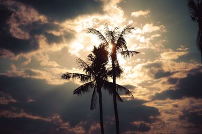 Low angle view of silhouette palm tree against sky during sunset
