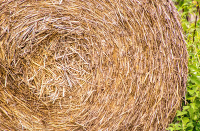 Close-up of hay bales on field