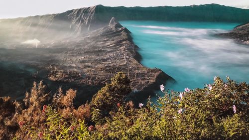 High angle view of sea and trees against sky