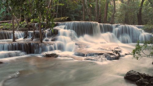 Scenic view of waterfall in forest