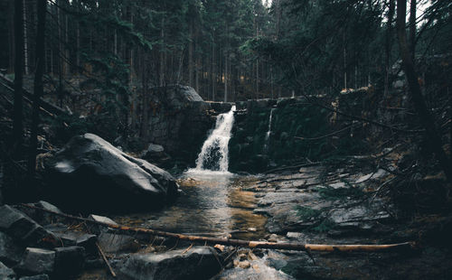 Scenic view of waterfall in forest