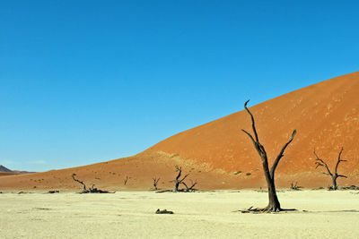 Scenic view of desert against clear blue sky