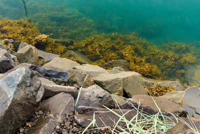 Scenic view of rocks on land