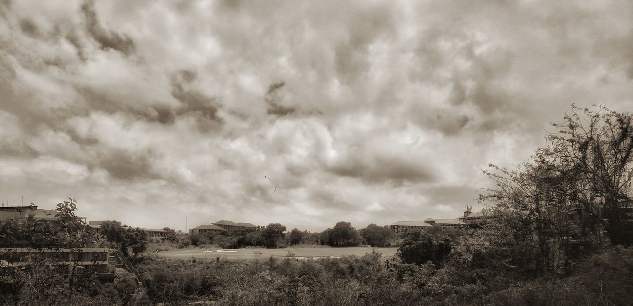 LANDSCAPE AGAINST SKY