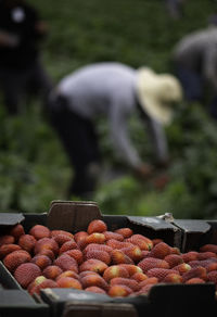 Close-up of strawberries in container