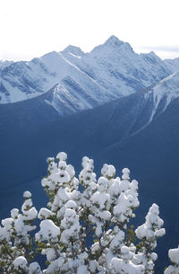 Scenic view of snow covered mountains