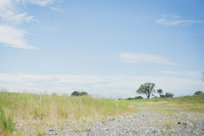 Scenic view of landscape against cloudy sky