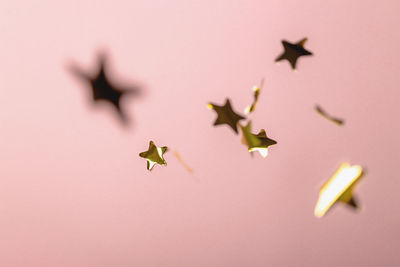 Low angle view of seagulls flying against clear sky