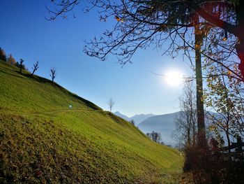 Scenic view of field and mountains against clear sky