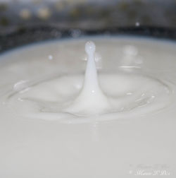 Close-up of drop splashing in water