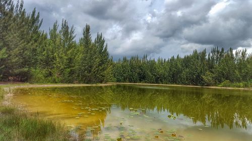 Scenic view of lake against cloudy sky