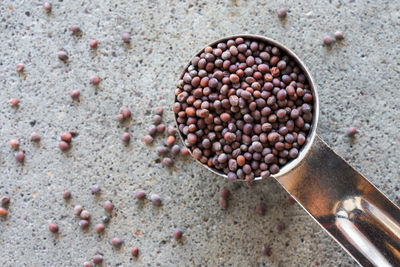 High angle view of mustard seed in teaspoon