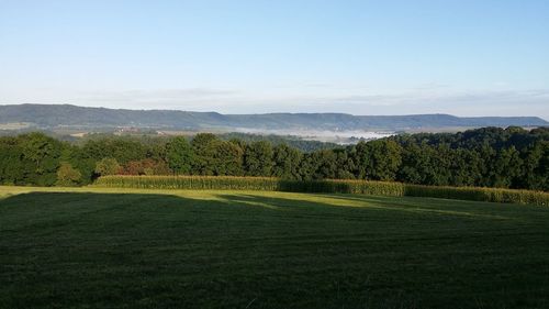 Scenic view of landscape against sky