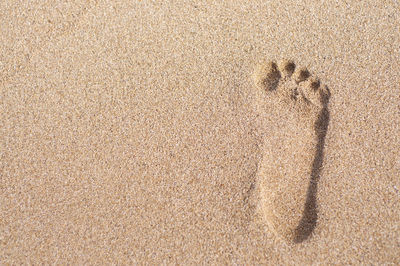 High angle view of footprints on sand