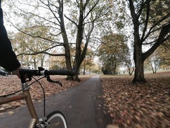 Empty road along trees