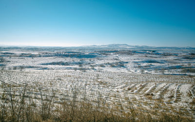 Scenic view of agricultural field against clear blue sky