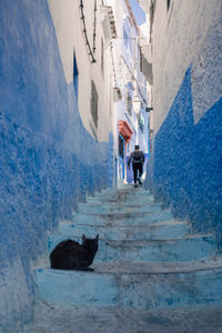 High angle view of a bird in sea