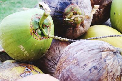 Close-up of fruits