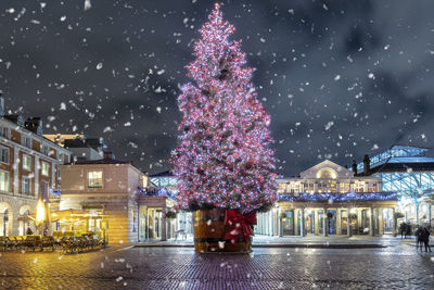 Illuminated christmas tree in city at night