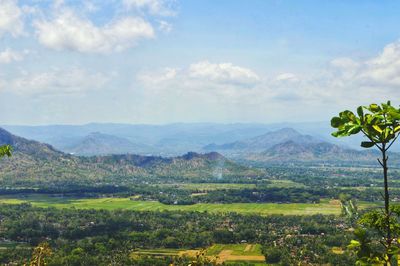 Scenic view of agricultural landscape against sky