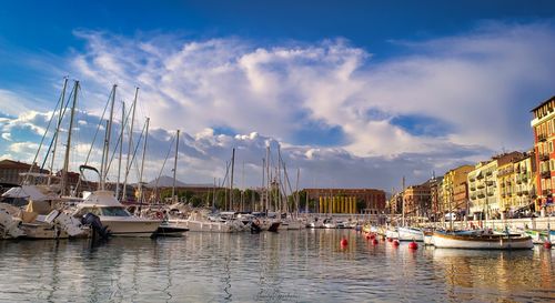 Sailboats moored in harbor