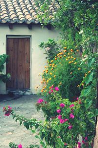 Flowering plants by building