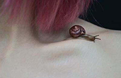 Close-up of snail on hand