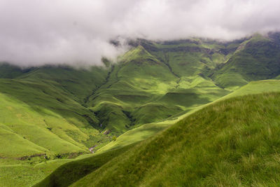 Scenic view of green landscape against sky