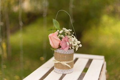 Close-up of pink rose