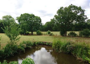 Scenic view of trees by lake against sky