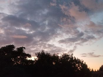 Low angle view of silhouette trees against sky at sunset