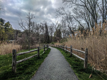 Walkway amidst trees against sky