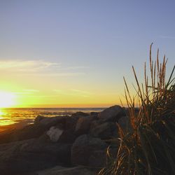 Scenic view of sea at sunset