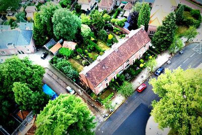 High angle view of trees in park