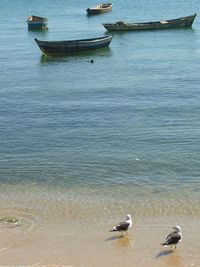 Boats in sea