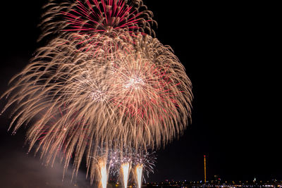 Low angle view of firework display at night