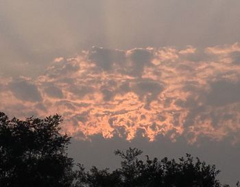 Low angle view of silhouette trees against sky