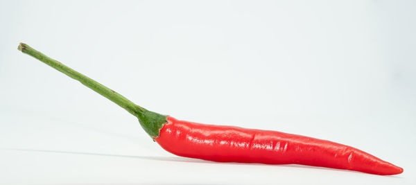 Close-up of red chili pepper against white background