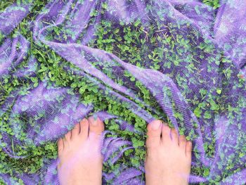 Low section of person standing on textile over grassy field 