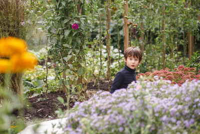A small beautiful boy peers out above a row of flowers in a garden