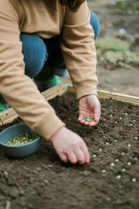 Low section of man planting sapling